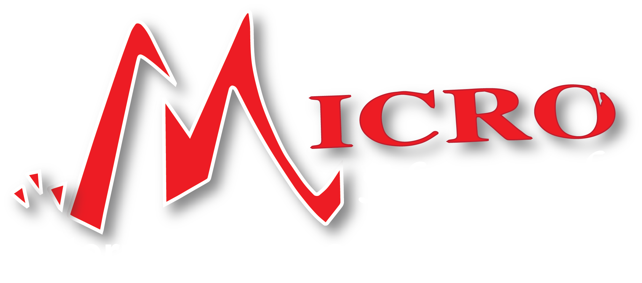 Micronetwork BD Logo